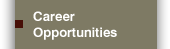 Career Opportunities Preload